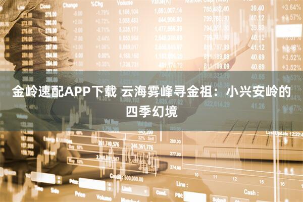 金岭速配APP下载 云海雾峰寻金祖：小兴安岭的四季幻境