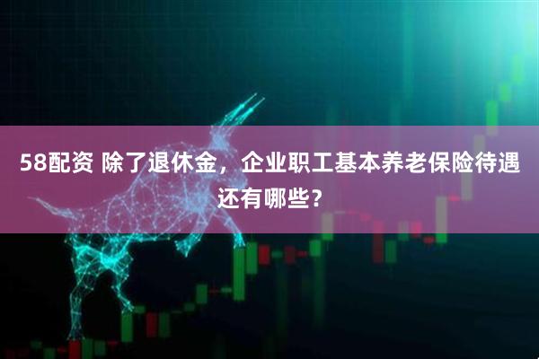 58配资 除了退休金，企业职工基本养老保险待遇还有哪些？