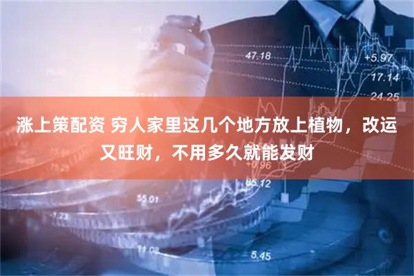 涨上策配资 穷人家里这几个地方放上植物，改运又旺财，不用多久就能发财