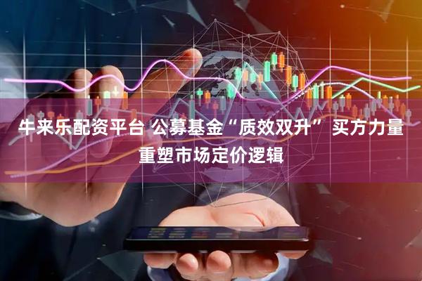 牛来乐配资平台 公募基金“质效双升” 买方力量重塑市场定价逻辑