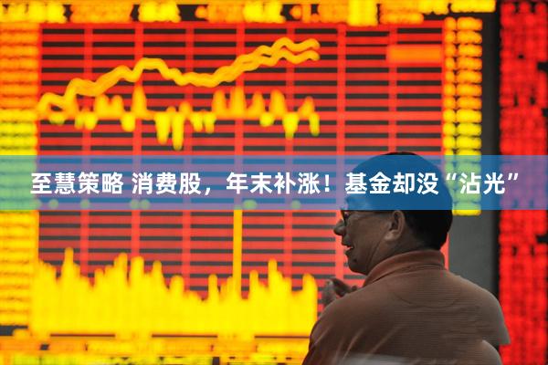 至慧策略 消费股，年末补涨！基金却没“沾光”